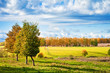 Autumn landscape