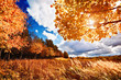 Autumn landscape