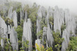 Foto: Pinnacles in Gunung Mulu National Park, Borneo, Malaysia. Pinnacles in Gunung Mulu National Park, Borneo, Malaysia.
