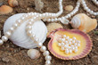 Elegant background with pearls and sea cockleshells Elegant background with pearls and sea cockleshells