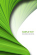 Abstract green background