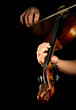 Musician playing violin isolated on black. Musician playing violin isolated on black.