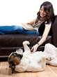 Foto: ruffle the dog´s fur ruffle the dog´s fur