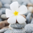 Spa and wellness