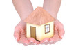 House in hands
