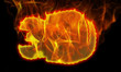 3D Fuego