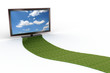 Grass road to a stylish black LCD TV