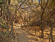 Path Path