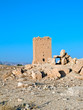 Palmyra tombs Palmyra tombs