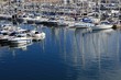 Marina in the port of Alicante