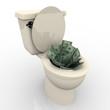 Flushing Money Down the Toilet