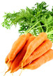 carottes carottes