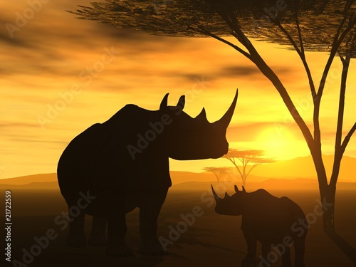 Illustration: Spirit of Africa Spirit of Africa