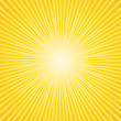 Summer sunburst