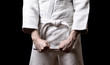 Karateka