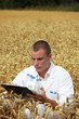 Foto: Wissenschaftler auf dem Feld Wissenschaftler auf dem Feld