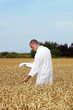 Foto: Wissenschaftler auf dem Feld Wissenschaftler auf dem Feld
