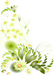 background with daisies