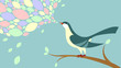 Birdsong
