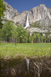 yosemite3