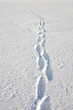 human tracks in the snow