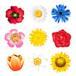 Photo en ligne au meilleur prix Set of spring flowers