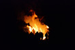 Hexenfeuer - Walpurgis Night bonfire 31