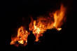 Hexenfeuer - Walpurgis Night bonfire 93