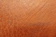 leather texture