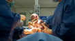 Photo: Baby being born via Caesarean Section Baby being born via Caesarean Section