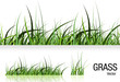 Grass vector isolated on white
