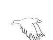 Oiseaux
