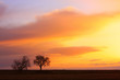 Country Sunrise