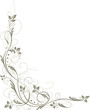 Ranke, floral, Laub, Blätter, oliv Ranke, floral, Laub, Blätter, oliv