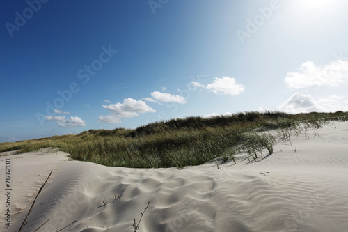 Foto: Düne im Sonnenschein - Dune in the sunshine Düne im Sonnenschein - Dune in the sunshine