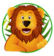 Cute lion Cute lion