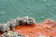 Champagne Pool Neuseeland