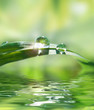 in water