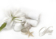 Wellness SPA Background Wellness SPA Background