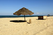 Sonne, Sand und Meer  Treibgut