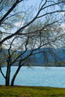lago banyolas 10