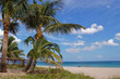 Palm Beach