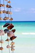 coquillages dans le vent sur la plage
