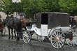 White Carriage