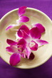 Photo: Purple orchids in bowl of water Purple orchids in bowl of water