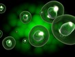 cell
