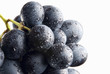 A bunch of black grapes with drops of water