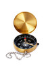 Golden compass isolated