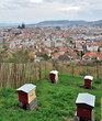 Ruches à la ville (abeilles) Ruches à la ville (abeilles)