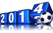 WM 2014